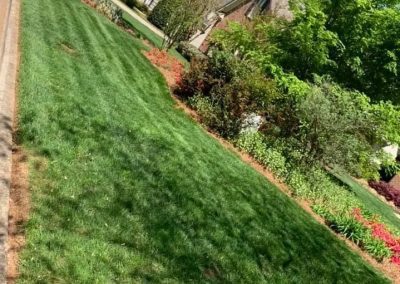 Landscaping in Winston-Salem, NC