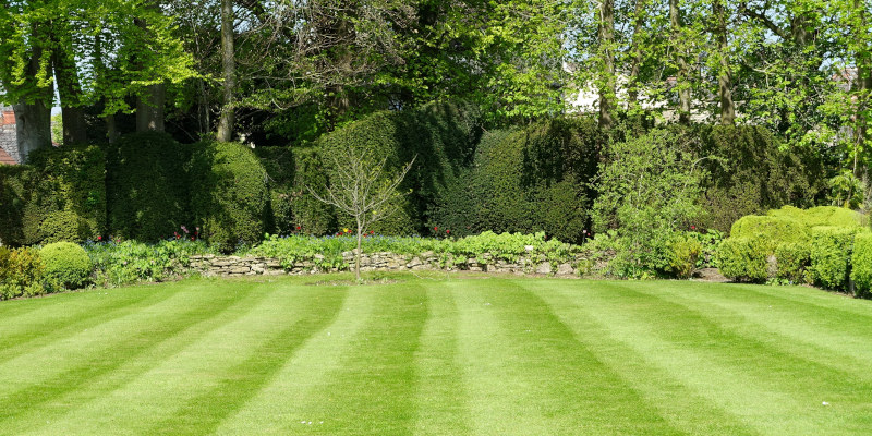 Three Reasons Why Lawn Care is Important
