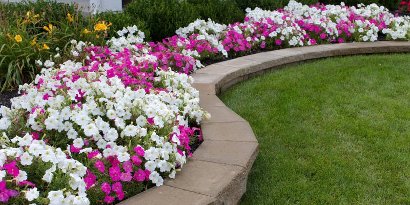 How to Transform Your Yard with Landscaping Services