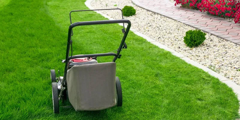 What Lawn Care Services Do We Offer?