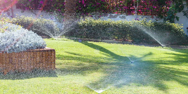 Four Reasons Why Proper Irrigation Matters