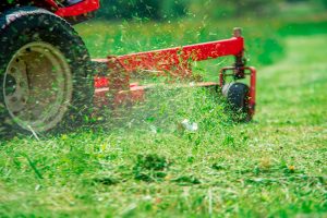 What Lawn Care Services Does Your Property Need?
