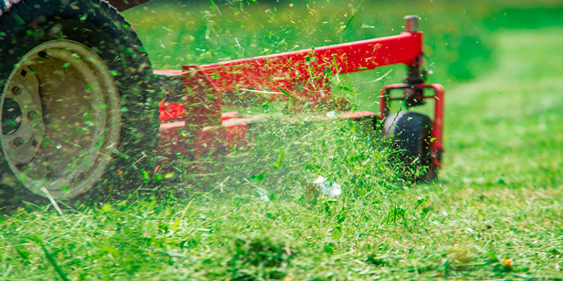 What Lawn Care Services Does Your Property Need?