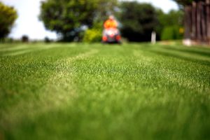 Three Advantages of Professional Lawn Care