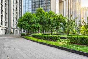 Four Great Reasons to Invest in Commercial Landscaping