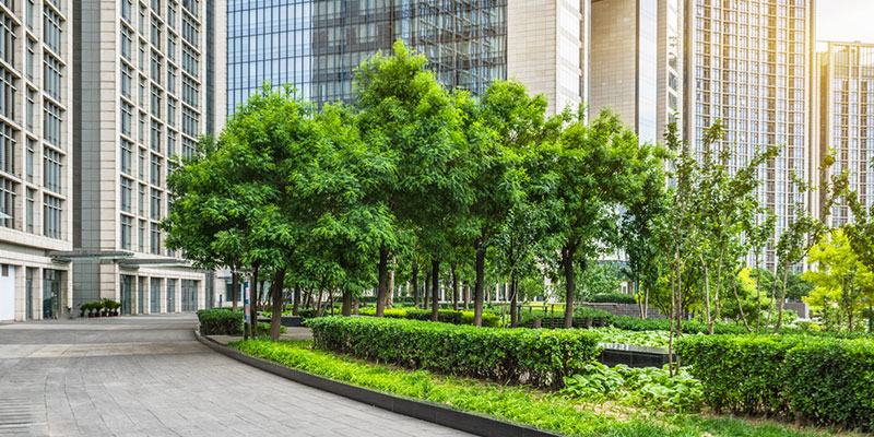 Four Great Reasons to Invest in Commercial Landscaping