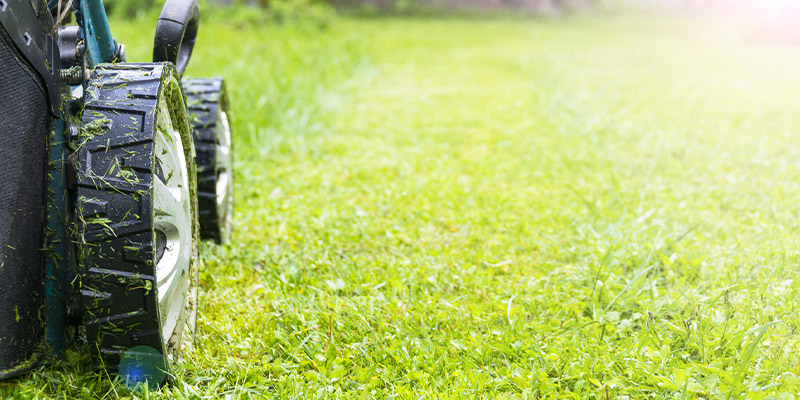 Commercial Lawn Care in Winston-Salem, North Carolina